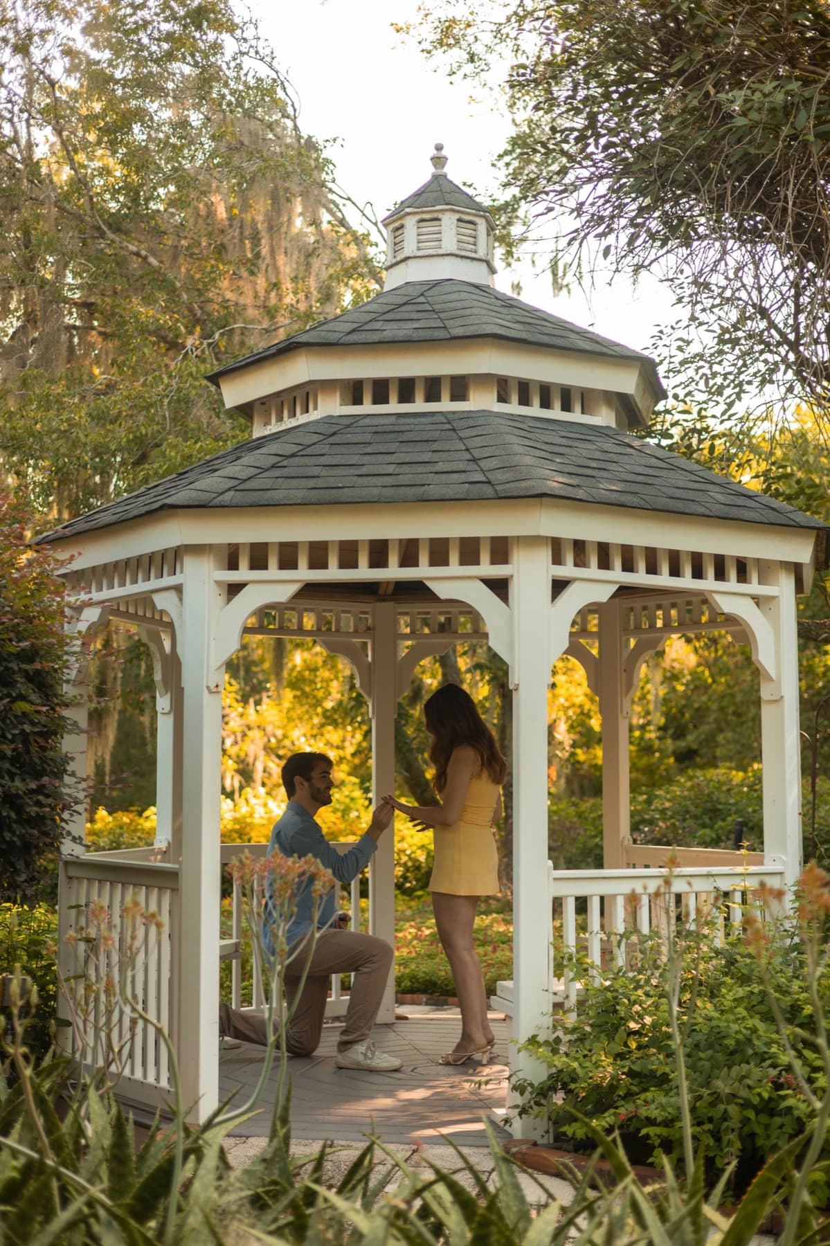 The proposal in the gazebo